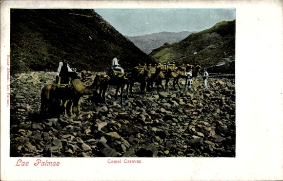 Postcard Las Palmas de Gran Canaria Canary Islands, Camel Caravan, Rocky Terrain, People in...