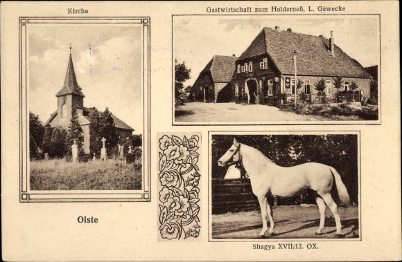 Postcard Oiste Blender in Lower Saxony, church, inn at Holderness, horse Shagya