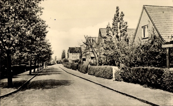 Postcard Boizenburg on the Elbe, settlement