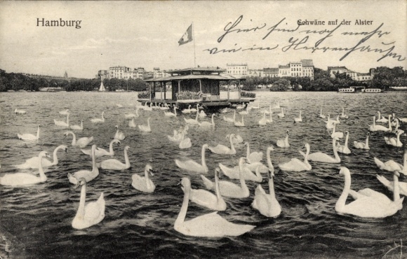 Postcard Hamburg Altona Neumühlen Oevelgönne, swans on the Alster