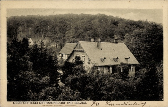 Ak Dippmannsdorf Bad Belzig in der Mark, Oberförsterei  Waldlandschaft, 