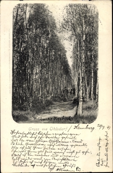 Ansichtkaart Hamburg Noord Ohlsdorf, bosperceel