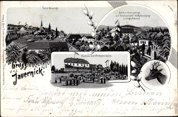 Litho Jauernick Buschbach Markersdorf Sachsen, Restaurant Wilhelmshöhe, Hirsch, Logiehäuser