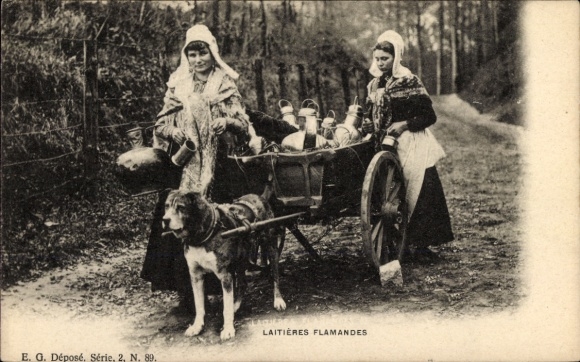 Ak Flämische Milchmädchen, Hundekarren, Arbeitshund
