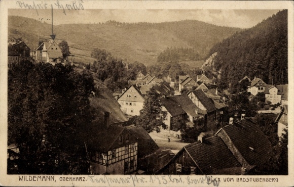 Ak Wildemann Clausthal Zellerfeld im Oberharz, Blick vom Badstubenberg,  Oberharz, Landschaft ...