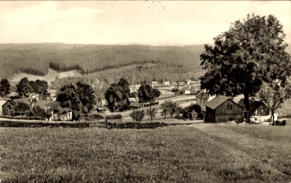 Postcard Sohl Bad Elster in Vogtland, landscape view, houses, forest