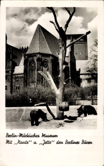 Postcard Berlin Mitte, Märkisches Museum, with bears Nante and Jette