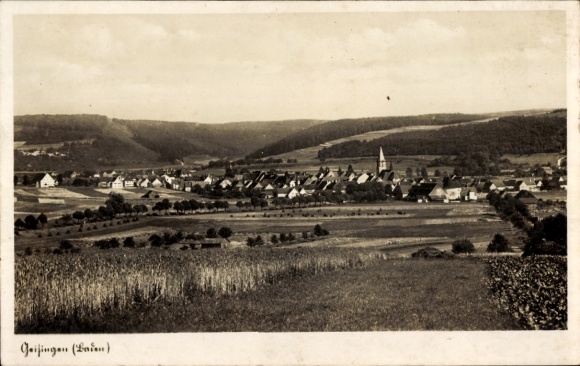 Ak Geisingen in Baden, Totalansicht