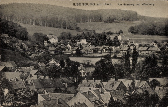 Postcard Ilsenburg am Nordharz, Saalberg and Wienberg