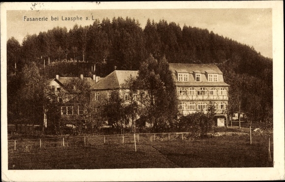 Ak Friedrichshütte Bad Laasphe in de wijk Siegen Wittgenstein, Hotel Fasanerie