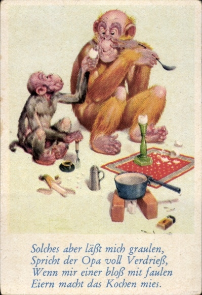 Collector's picture funny pictures No. 43, orangutan and chimpanzee eating