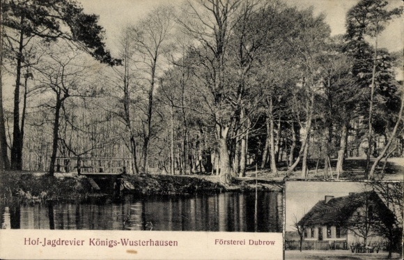 KP Königs Wusterhausen w Brandenburgii, Teren Polowań Nadwornych, Urząd Leśnictwa Dubrow