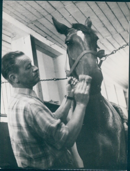 foto Berlin West 1954, drafbaan Berlin Mariendorf, paard in de stal, grooms