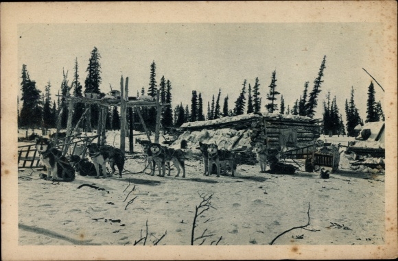 Ak Alaska USA, En Voyage dans les Régions Arctiques, hondenslee