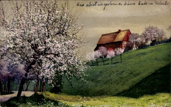 Postcard local section, half-timbered house, blossoming trees