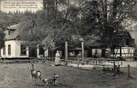 Ansichtkaart Niederoderwitz Oderwitz in Oberlausitz, Batzenhütte