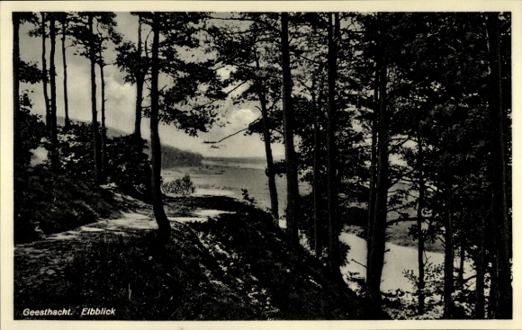Postcard Geesthacht on the Elbe, Elbblick