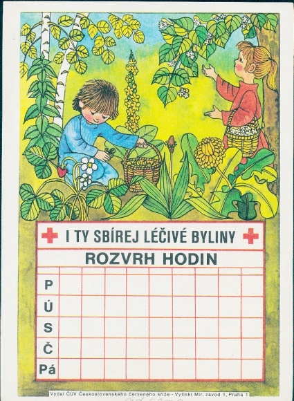 Stundenplan, Kinder sammeln Heilkräuter