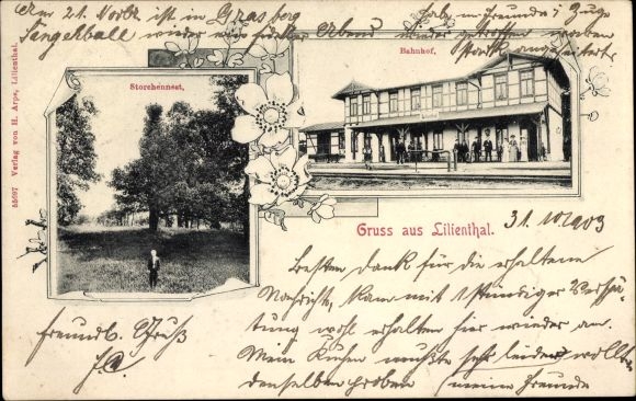 Ak Lilienthal Niedersachsen, Bahnhof, Gleisseite, Storchennest