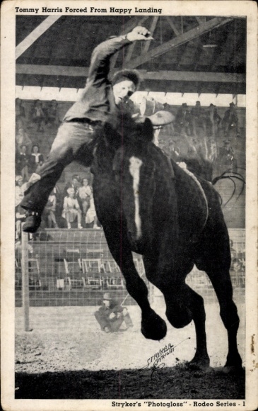 KP Rodeo Cowboy Tommy Harris leci z konia Szczęśliwe lądowanie