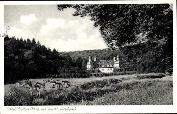 Ak Crottorf Friesenhagen Rijnland-Palts, kasteel Crottorf, hertenkamp