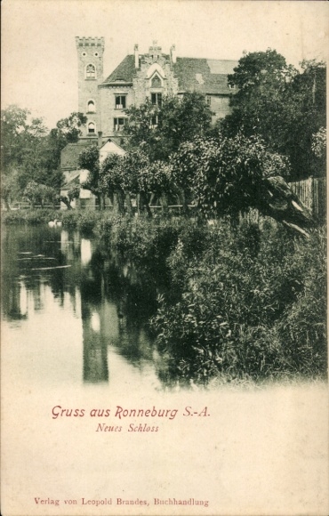 Ronneburg in Thüringen, kasteel, waterloop, bomen, historische architectuur, zwart-wit...
