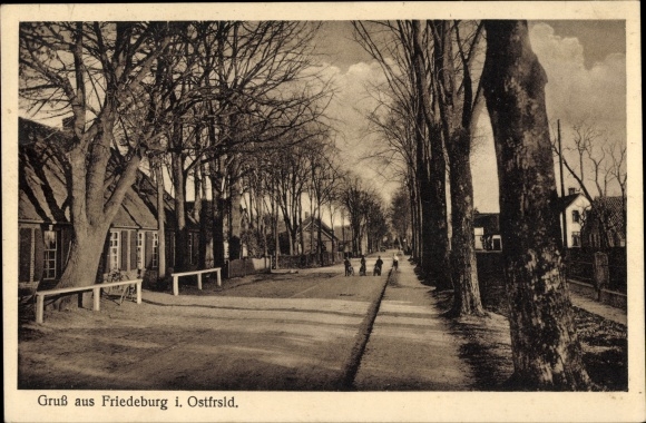 PC Friedeburg Ostfriesland, Allee