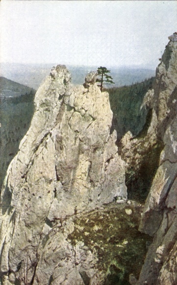 KP Peilstein w Mühlviertel Górna Austria, formacja skalna, drzewo na skale, widok na krajobraz