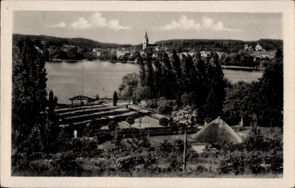 Ak Buckow in der Märkischen Schweiz, See mit umliegenden Bäumen, Kirche im Hintergrund, Garten...