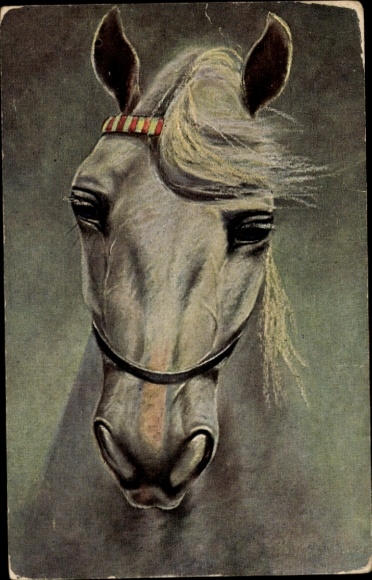 Postcard White Horse, Painted portrait