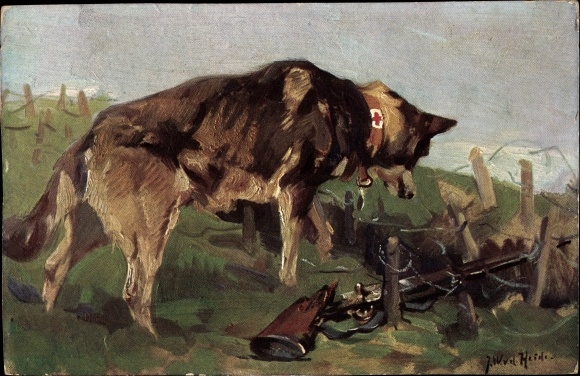 Künstler Ak v. d. Heide, J. W., Sanitätshund entdeckt in Wolfsgrube einen Verwundeten