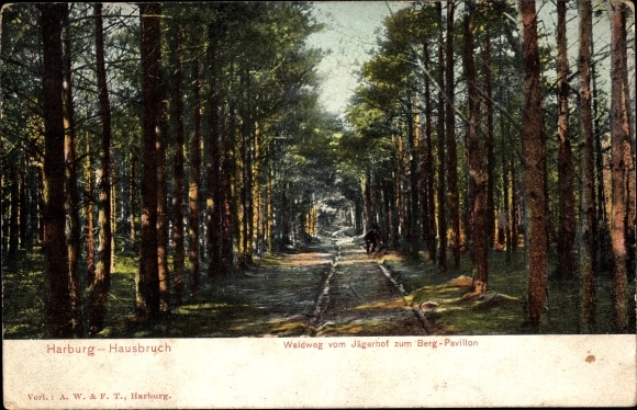 Postcard Hamburg Harburg Hausbruch, forest path from the Jägerhof to the mountain pavilion