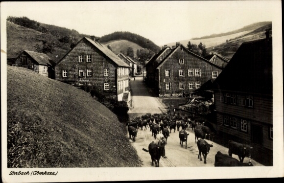 Ak Lerbach Osterode am Harz, Ortsansicht, Kühe, Wohnhäuser