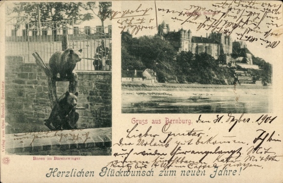 Postcard Bernburg an der Saale, bear in the bear enclosure, castle