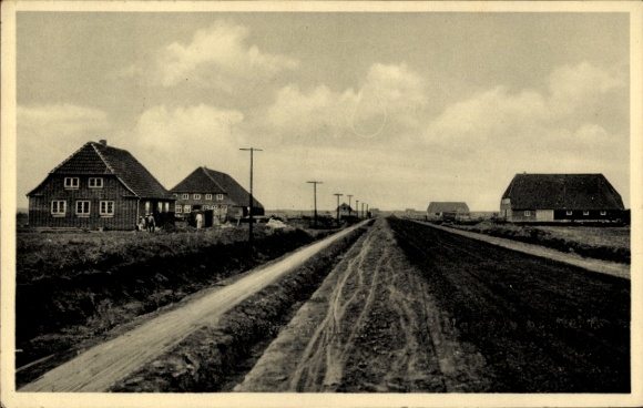 Ak Adolf Hitler Koog Dieksanderkoog Friedrichskoog in Dithmarschen, Teilansicht