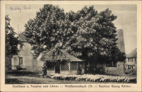 Ak Waldkatzenbach Waldbrunn im Necker Odenwald Kreis, Gasthaus zum Löwen, Georg Körber, Schäfer