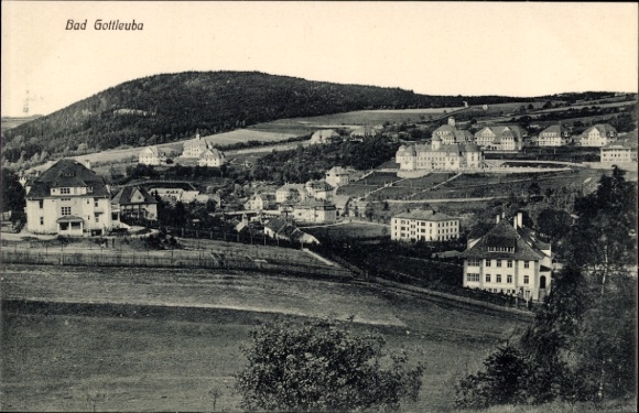 Ak Bad Gottleuba in Saksen, panoramisch uitzicht op bergen, gebouwen, weilanden