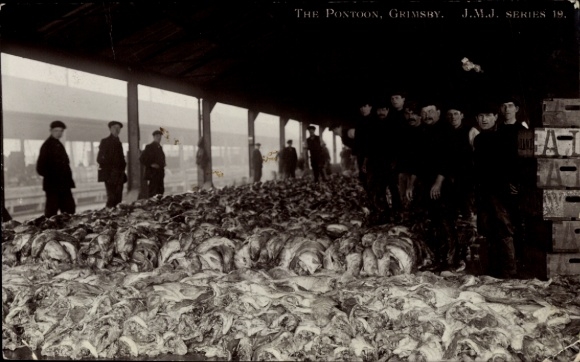 PC Grimsby Lincolnshire England, Fish Pontoon