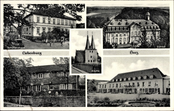 Postcard Liebenburg am Harz, Castle, Sanatorium Dr. Fontheim, Inn zur Linde, school hostel