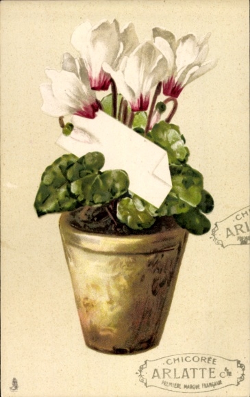 Chromo-Litho Happy Birthday, Cyclamen in a Flowerpot