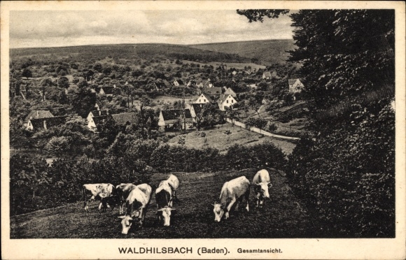 Ak Waldhilsbach Neckargemünd am Neckar, Gesamtansicht