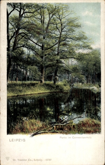 Ak Connewitz Leipzig in Sachsen, Waldlandschaft, Teich, Bäume, Connewitzerholz, 
