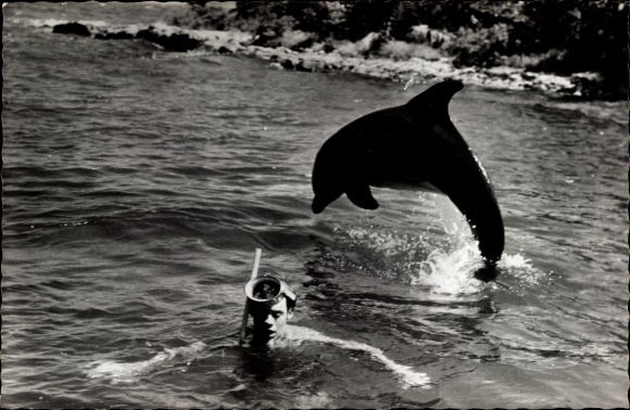 Ak Schauspieler, Delphin Flipper