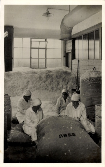 Ak Langenargen aan de Bodensee, beddenverenfabriek, Johannes Kauffmann