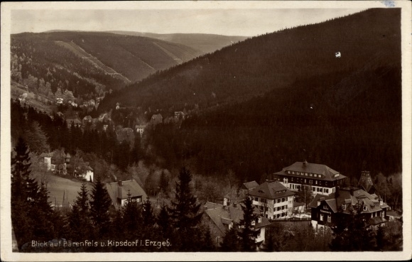 Ak Bärenfels Altenberg in het Erzgebirge, Kipsdorf, panorama