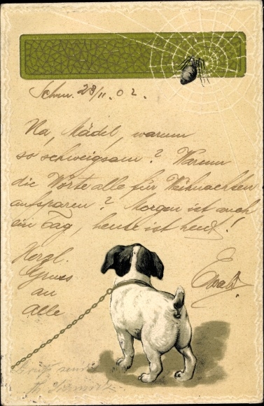 Emboss litho dog, walkie, spider, spider web