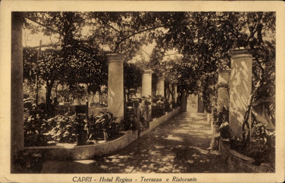 Ak Capri Neapel Campania, Hotel Regina, Terrasse, Restaurant, Garten, Pflanze