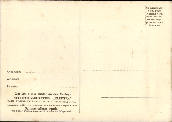 Giant Postcard Female California Crocodile with brood