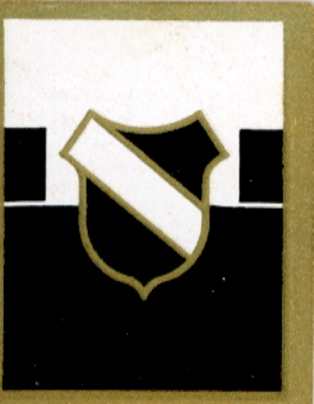 Collector's picture sports crest, football, West Germany, TS 99 Duisburg, picture no. 6