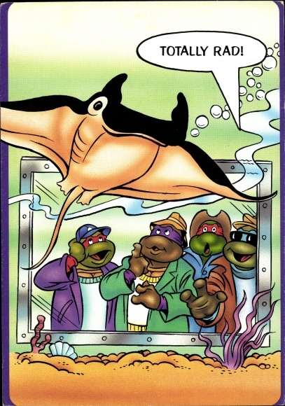 Postcard Comic, Teenage Mutant Ninja Turtles, Turtles, Rays